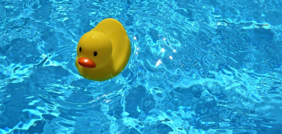 Quietscheente im Pool - Information des Wasserwerks