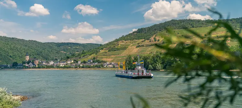 Blick auf Lorch am Rhein und Fähre Lorch-Niederheimbach
