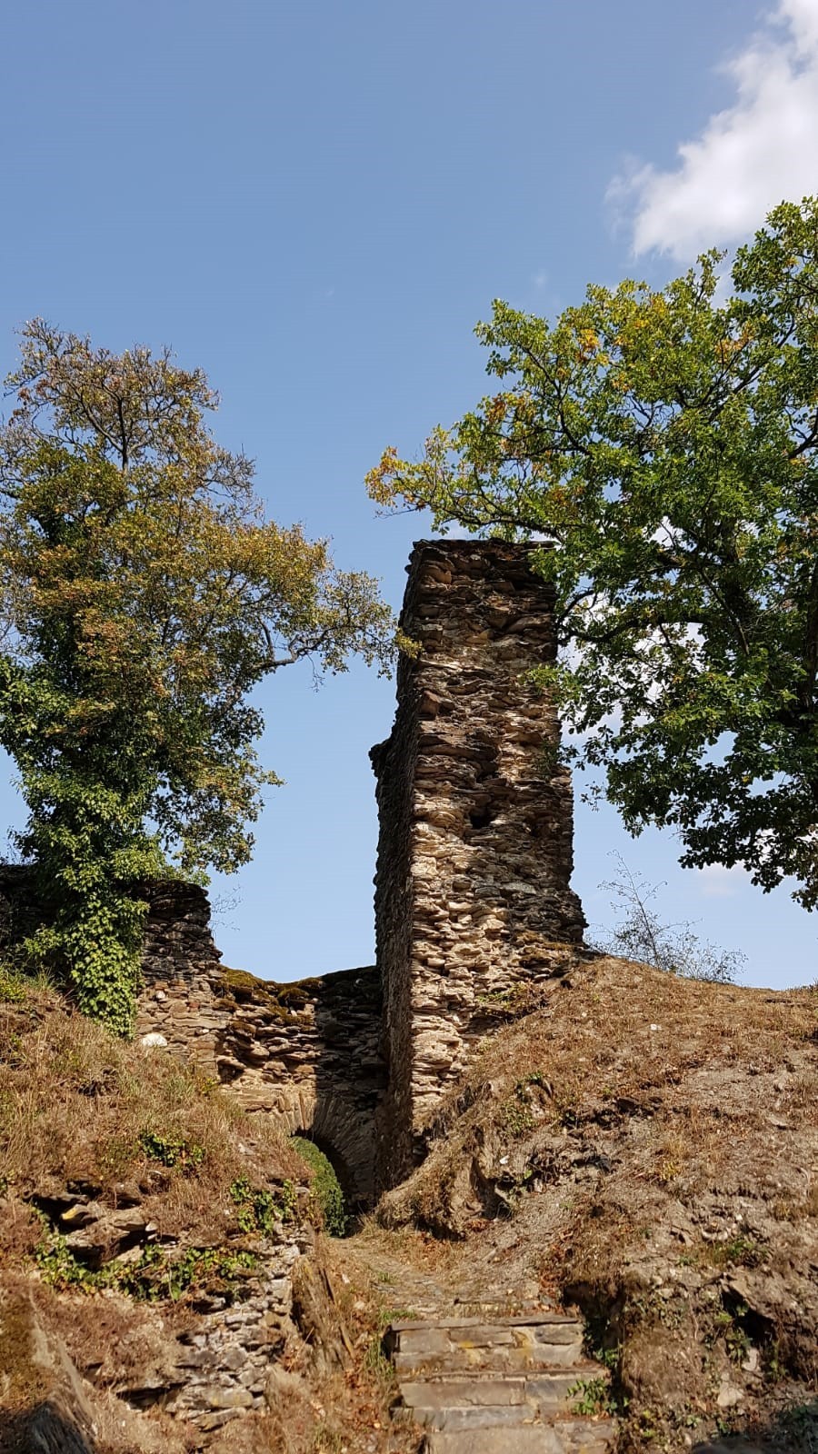 Burgen im Wispertal Lorch am Rhein